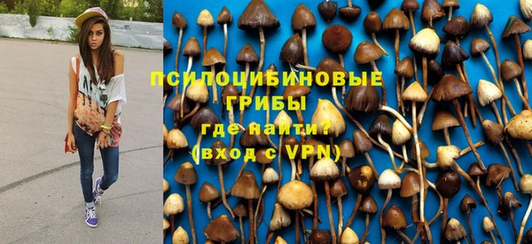 соль ск Алзамай