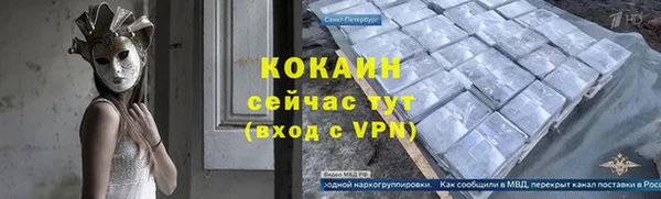 соль ск Алзамай