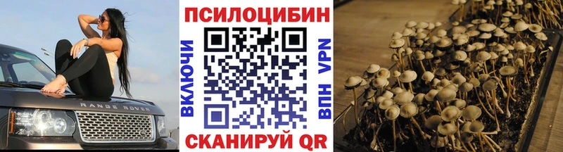 Псилоцибиновые грибы MAGIC MUSHROOMS  hydra рабочий сайт  Томск 