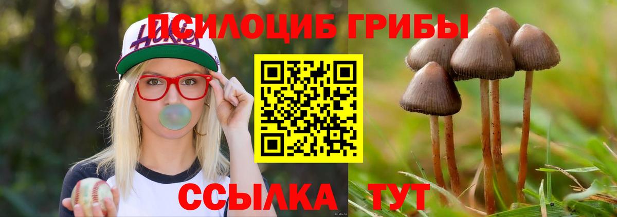 Галлюциногенные грибы Psilocybine cubensis  Вход с VPN  Томск 
