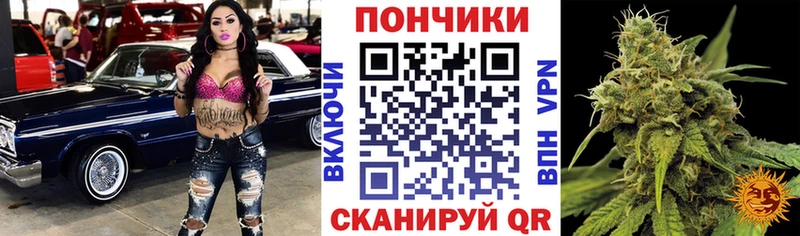 магазин продажи   Томск  ОМГ ОМГ ссылка  Бошки Шишки ГИДРОПОН 